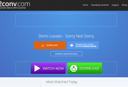 2conv.com review tutorial youtube converter step 3 download your converted video mp3