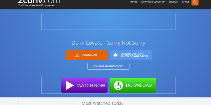 2conv.com review tutorial youtube converter step 3 download your converted video mp3