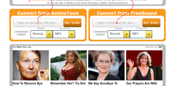 TubeOffline.com review tutorial bad user experience step 1 front page