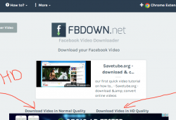 fbdown.net review tutorial download facebook video step 3 right click on download link and select save as