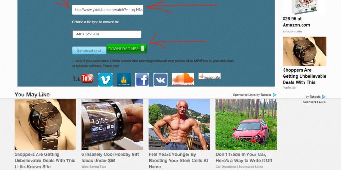 mp3fiber.com review and tutorial step 1 visit mp3fiber.com and enter the video link