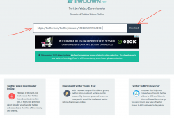 twdown.net twitter video downloader review tutorial step 2 enter video URL on twdown and press download