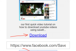 fbmp4.net review tutorial step 2 make sure its the right video and click Download link