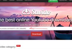 savido.net quick review and tutorial step 2 enter video URL and click download