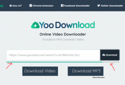 yoodownload.com review and tutorial step 2 enter the video link and submit, check the progress indicator