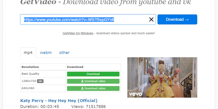Getvideo.org Review Tutorial step 3 pick your download option