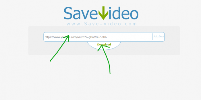 save-video.com review tutorial step 1 front page