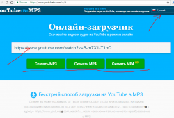 youtubeto.com tutorial step 1 front page with URL