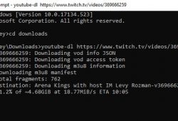 download twitch videos using youtube-dl cmd screen