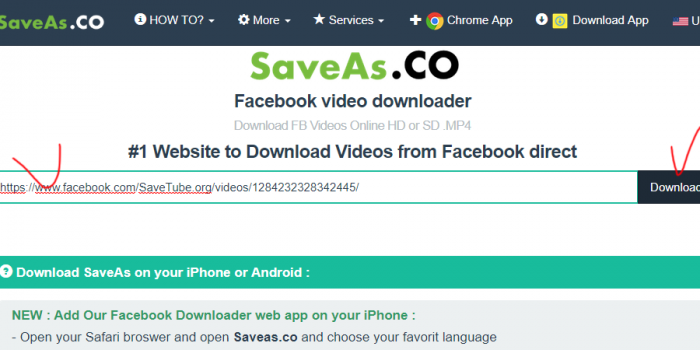 saveas.co-review tutorial step 2 paste video url and submit