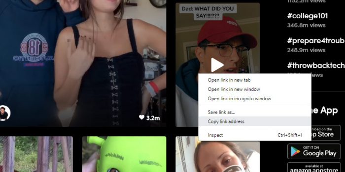 ttdown.org step 0 copy tiktok video URL