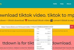 ttdown-org step 1 paste tiktok video link