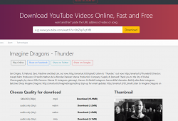 savvido alternatives