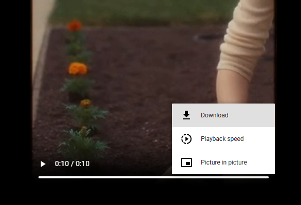 general view of video playing by itself in a new tab with HTML designed menu to download it
